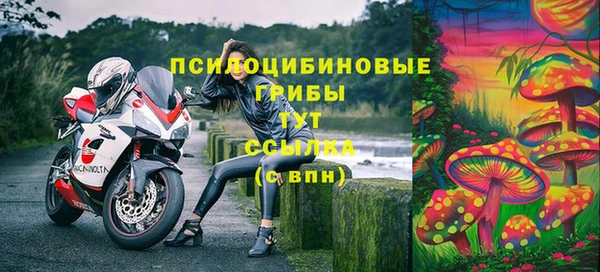 mix Алексин